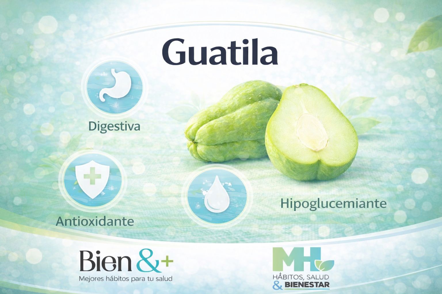 MÓDULO 2. Alimentos que favorecen tu metabolismo